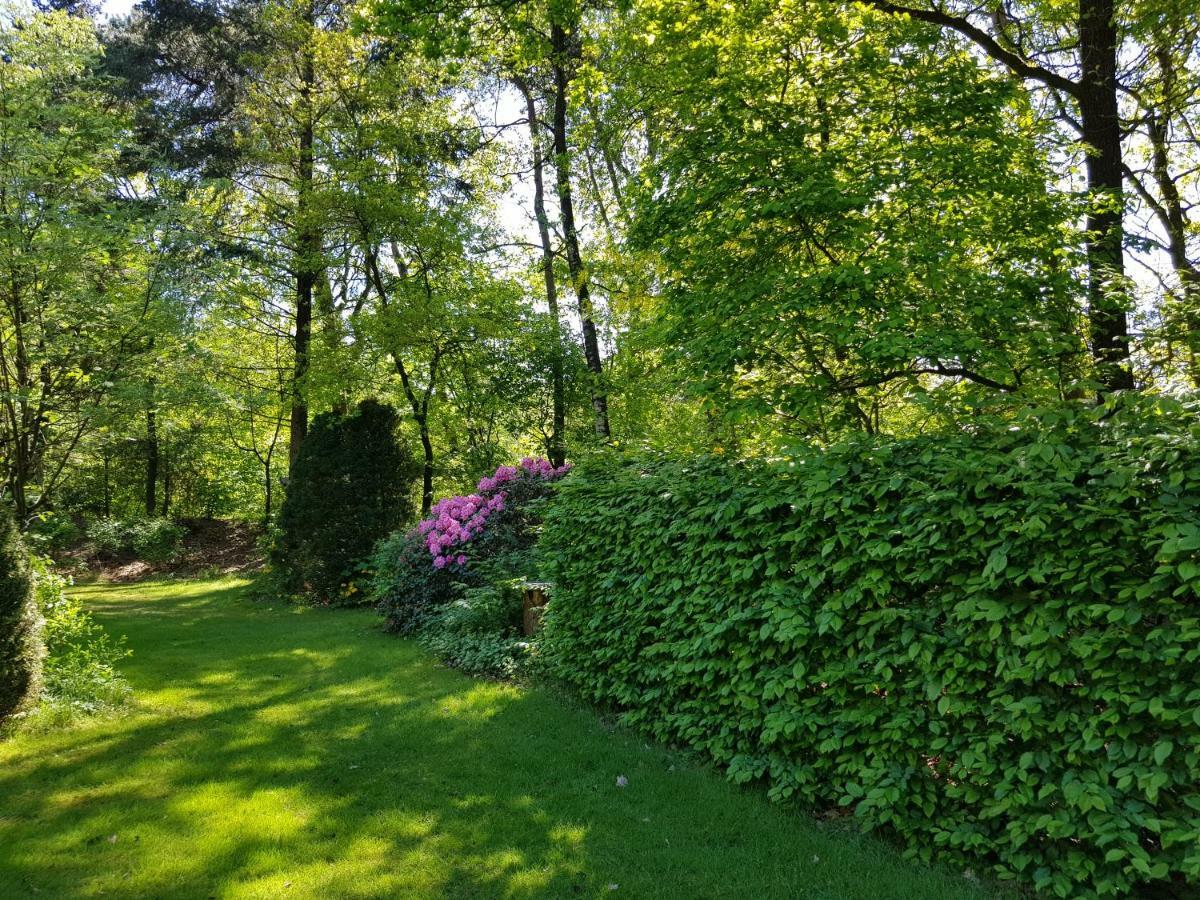 Knusse Bungalow Otterlo Veluwe Exterior foto